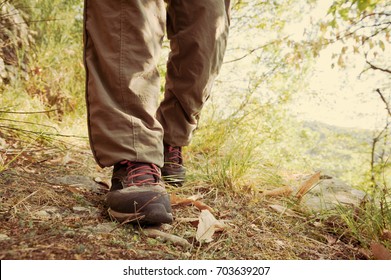 Hiking Shoes With Red Laces And Legs Wearing Long Brown Trousers Of An Hiker Walking On A Path In The Wood. Vintage Effect