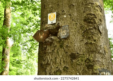 Hiking signpost rusted and grown into a tree - Shutterstock ID 2275742841
