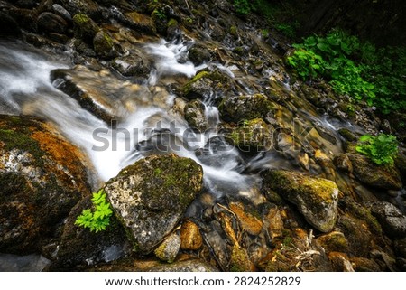 hiking in the Slovak mountains.