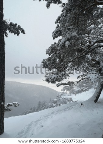 Similar – Image, Stock Photo jaw Environment Nature