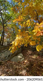 Hiking Storm King Mountain New York