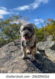 Hiking Storm King Mountain New York