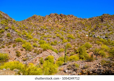 Hiking Summit Trail #300 Up Piestewa Peak In Phoenix Mountains Preserve