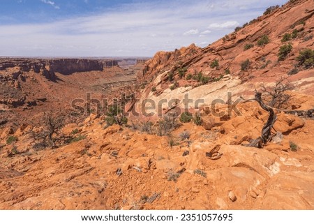 hiking the syncline loop trail in island in the sky district of canyonlands national park in utah, usa