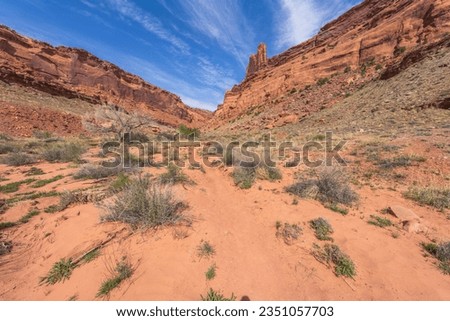 hiking the syncline loop trail in island in the sky district of canyonlands national park in utah, usa