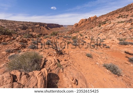 hiking the syncline loop trail in island in the sky district of canyonlands national park in utah, usa