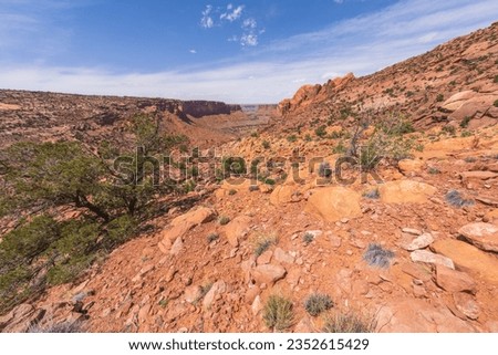 hiking the syncline loop trail in island in the sky district of canyonlands national park in utah, usa