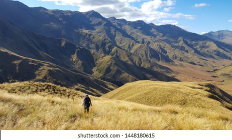 Hiking The Te Araroa In New Zealand