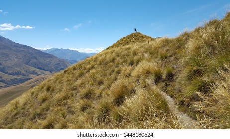 Hiking The Te Araroa In New Zealand