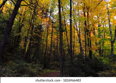 Hiking Through The Autumn Foilage