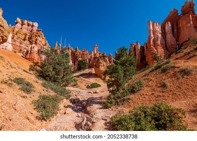 Hiking Through The Bryce Canyon Ampitheater Reveals Many HooDoo's And Other Beautiful Sites