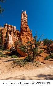 Hiking Through The Bryce Canyon Ampitheater Reveals Many HooDoo's And Other Beautiful Sites