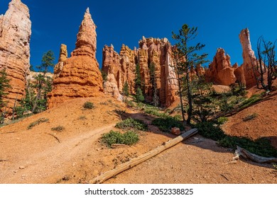 Hiking Through The Bryce Canyon Ampitheater Reveals Many HooDoo's And Other Beautiful Sites