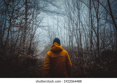 Hiking Through The Forest During Winter Mornings