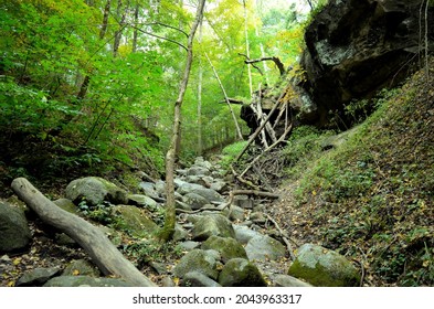 Hiking Through Nature At Turkey Run State Park