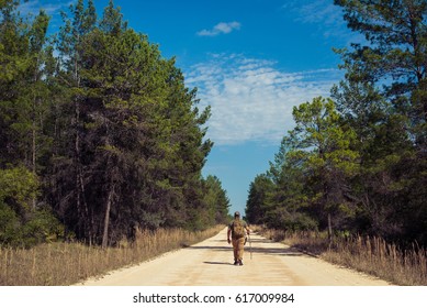 Hiking Through Ocala National Forest.