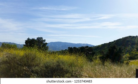 Hiking Through The Scenic Hills Of Irvine Open Ranch Space During Spring.