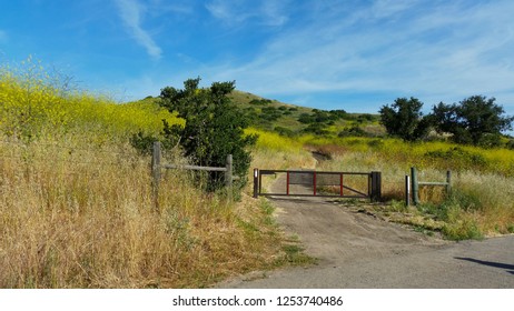 Hiking Through The Scenic Hills Of Irvine Open Ranch Space During Spring.