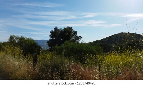 Hiking Through The Scenic Hills Of Irvine Open Ranch Space During Spring.