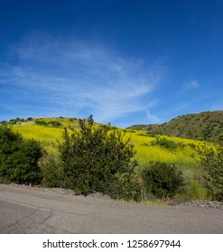 Hiking Through The Scenic Hills Of Irvine Open Ranch Space During Spring.,