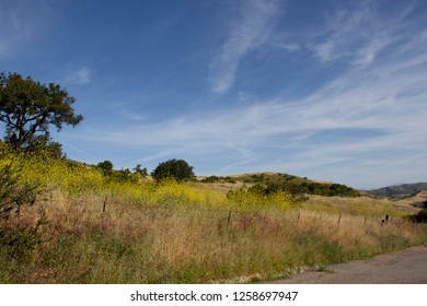 Hiking Through The Scenic Hills Of Irvine Open Ranch Space During Spring.