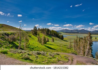 Hiking Through Yellowstone National Park In The Summer