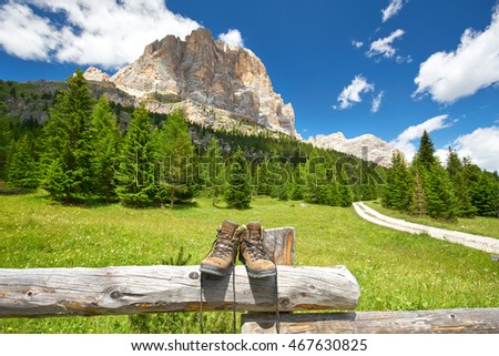 Similar – Image, Stock Photo mountain tour Wood Old