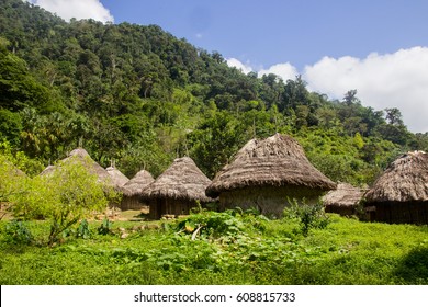 Hiking Tour To The Lost City In Colombia