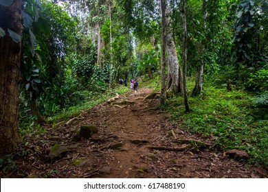 Hiking Tour To The Lost City In Colombia