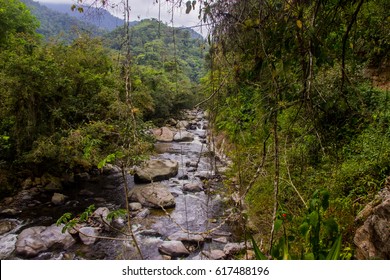 Hiking Tour To The Lost City In Colombia