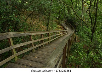 Hiking Track In Canyon Of Rio Mao In Ribeira Sacra In Galicia,Spain,Europe
