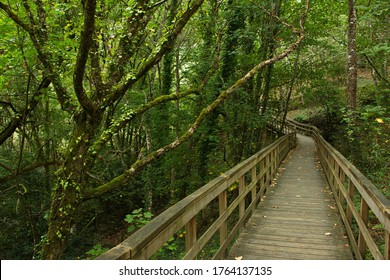 Hiking Track In Canyon Of Rio Mao In Ribeira Sacra In Galicia,Spain,Europe
