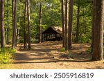 Hiking trail at Amnicon Falls State Park in Wisconsin, USA.