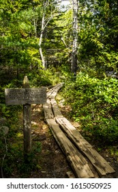 Hiking Trail Arcadia National Park