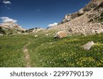 Hiking trail in the Beartooth Mountains on the Montana - Wyoming border