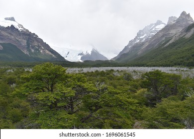 Hiking Trail to beautiful Laguna Torre with big grey mountains in Patagonia, Argentina in South America