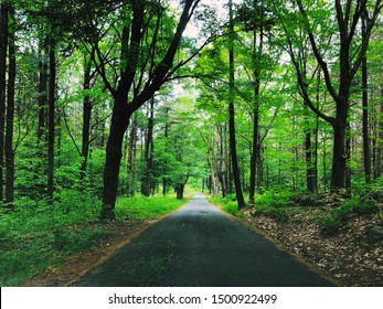 The hiking trail with beautiful summer view from Dennis Hill State Park in Norfolk Connecticut New England United States.