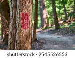 Hiking Trail Blaze in Hocking Hills Forest Path Perspective