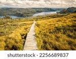 Hiking trail boardwalk in Gros Morne National Park, Newfoundland