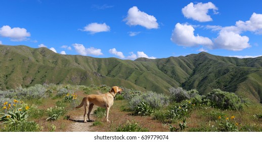 Hiking Trail In Boise, Idaho