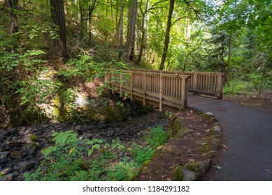 Hiking Trail Bridge In Forest Park, Portland Oregon