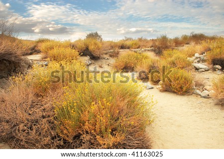 Hiking Trail; Coachella Valley Preserve; Thousand Palms, California