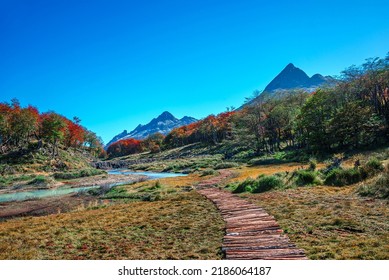 Hiking trail to the Esmeralda lake through magical colorful austral forests, peat bogs, dead trees, glacial streams and high Andes mountains in Tierra del Fuego National Park, Patagonia, Argentina - Shutterstock ID 2186064187