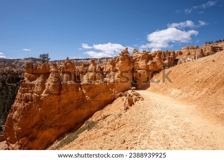 hiking trail at famous bryce nationalpark with orange hoodoo rock formation, utah