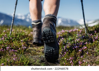 Hiking trail with flowers