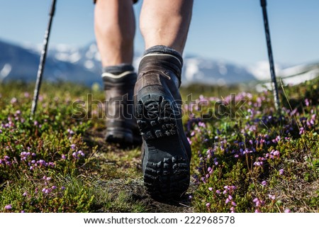 Hiking trail with flowers