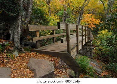 Hiking Trail Footbridge Autumn Colors