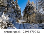 Hiking trail in the forest near Lake Lavalette in the Gorges du Lignon, under the first snows of winter