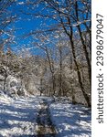 Hiking trail in the forest near Lake Lavalette in the Gorges du Lignon, under the first snows of winter