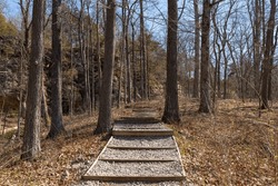 Hiking Trail In Giant City State Park On A Sunny Spring Morning.  Makanda, Illinois, USA.